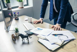 网站建设与维护 构筑数字门面的持续生命力