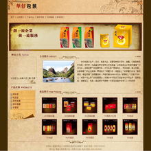 专业网站建设与小程序定制服务，品质保障，价格公道